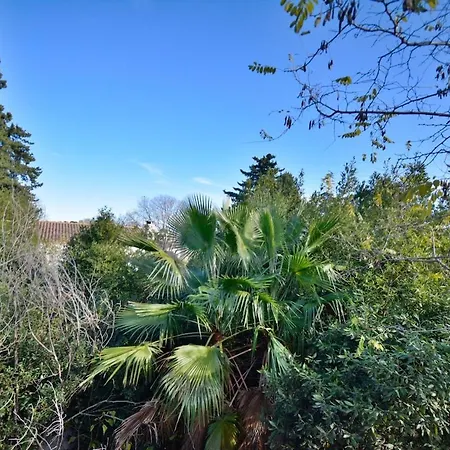 Bruyeres With Deck And Private Parking * Montpellier